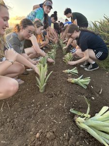 students sitting in dirt by crops in Puerto Rico