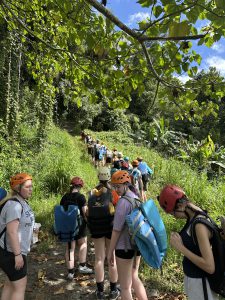 ziplining in rainforest